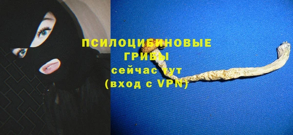 ALPHA PVP Горнозаводск