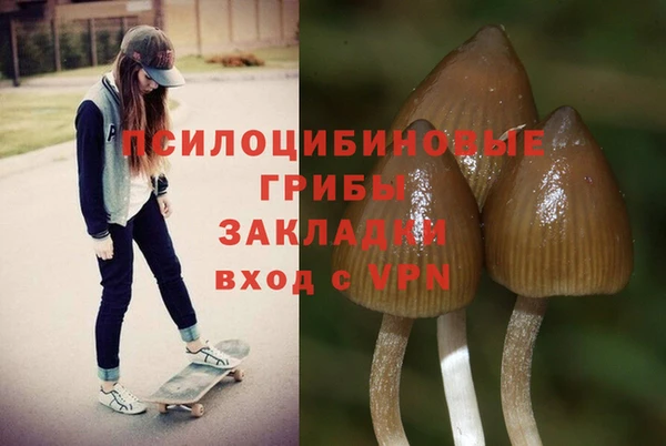 ALPHA PVP Горнозаводск